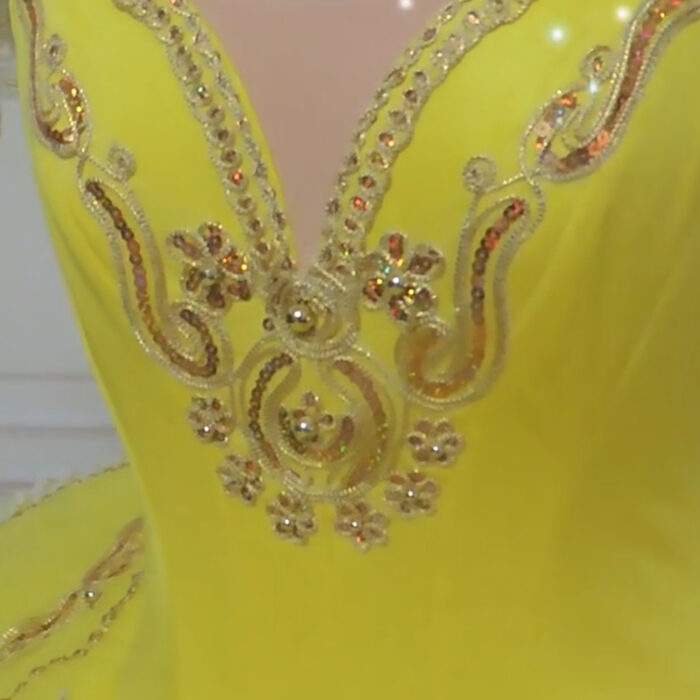 Canary Fairy Ballet Tutu - Image 5