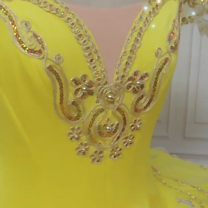 Canary Fairy Ballet Tutu - Image 3