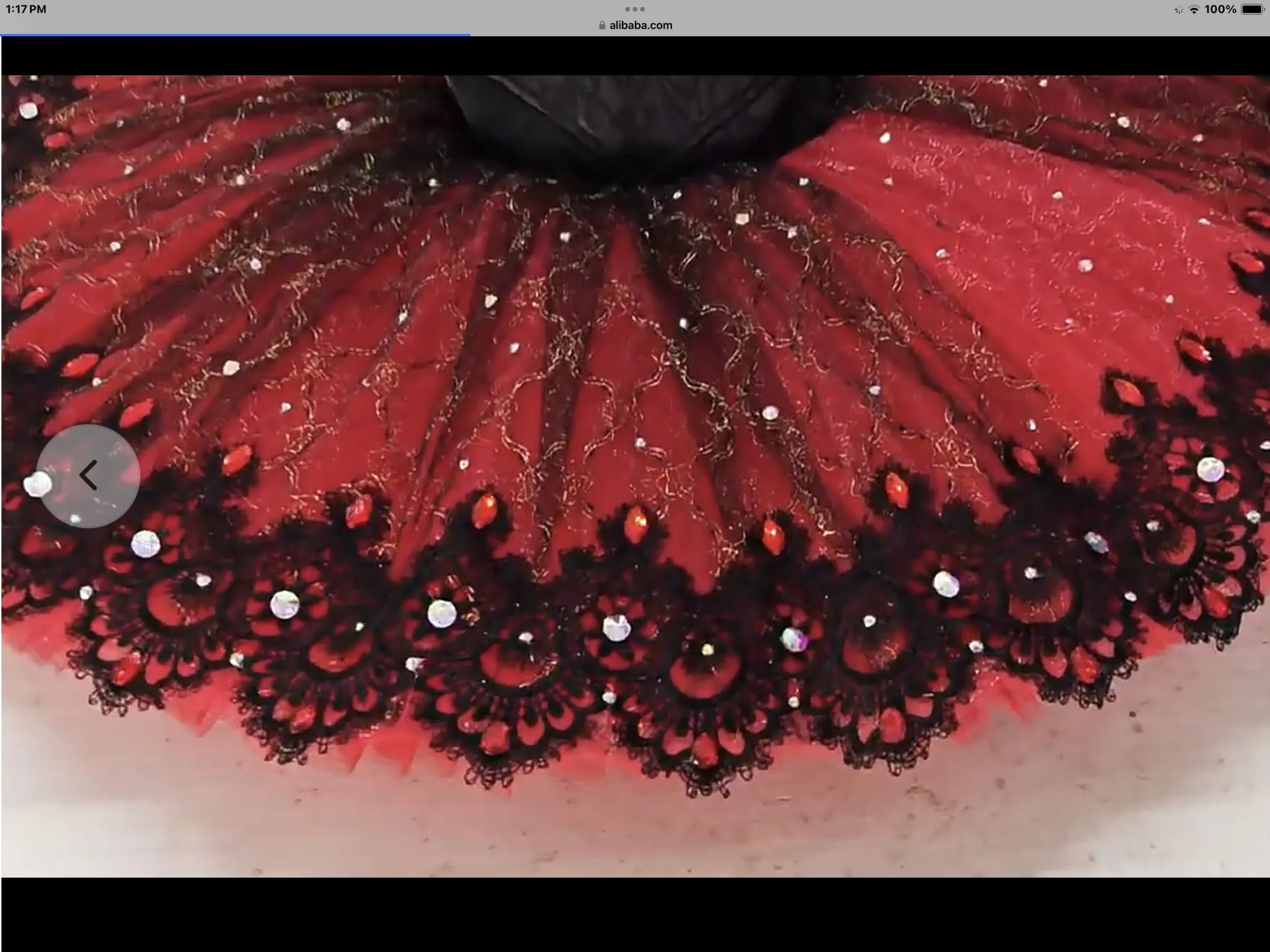 Don Quixote Ballet Tutu - Image 6