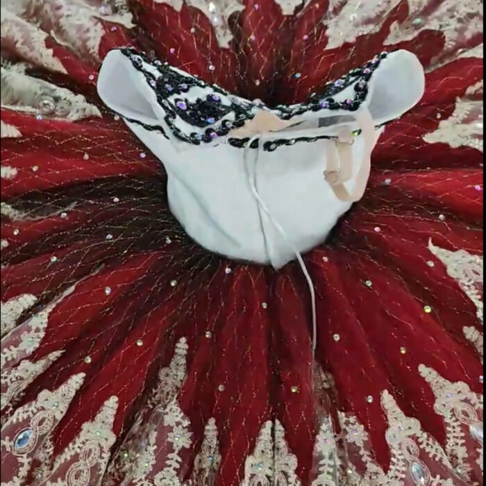 Don Quixote DQ1 Ballet Tutu - Image 6