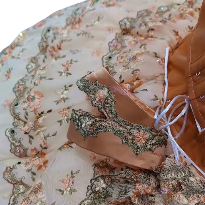 Marzipan Gold Ballet Tutu - Image 4