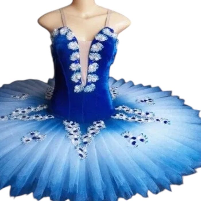 Blue bird ballet dress