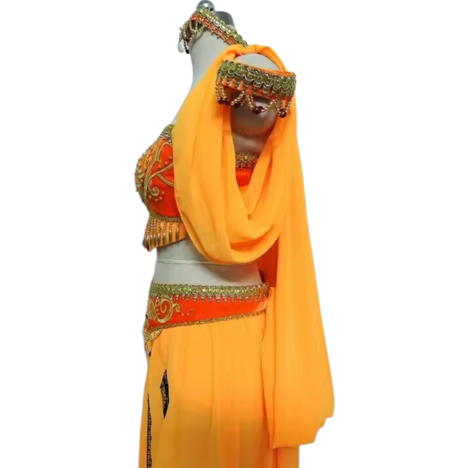 Oriental Ballet Costume - Image 3