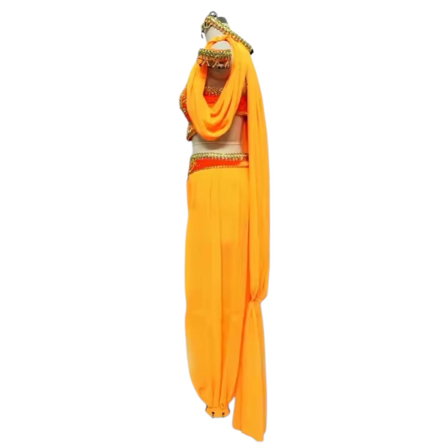 Oriental Ballet Costume - Image 4
