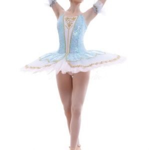 Cinderella ballet tutu