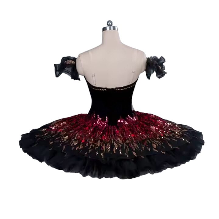 Paquita Ballet Tutu - Image 4
