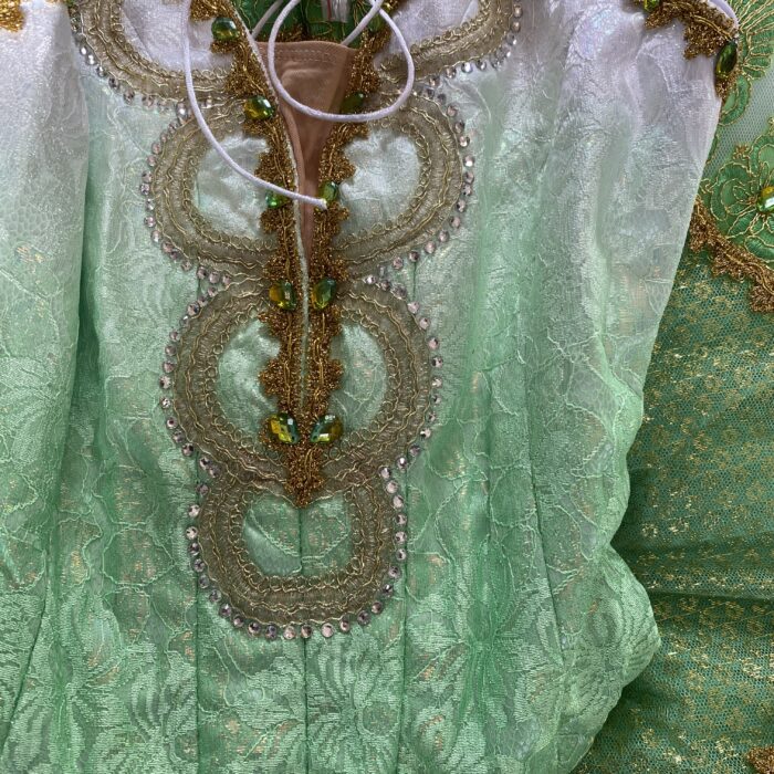 Fairy Of The Enchanted Garden Tutu - Image 6