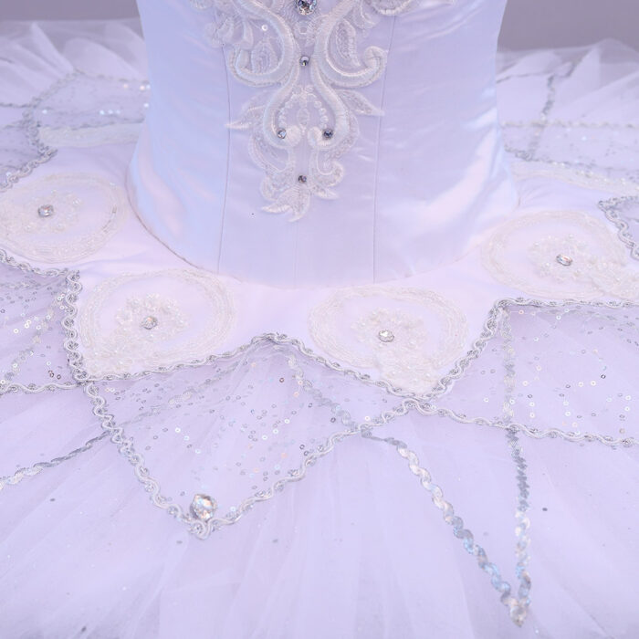 Swan Lake Tutu Dance - Image 6