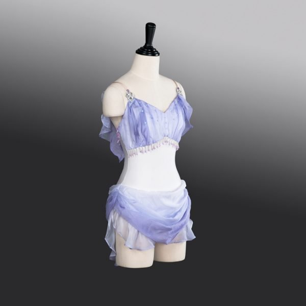 Diana Purple Ballet Costume