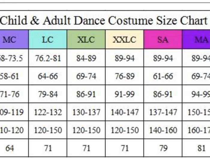 Black Mesh Dance Costume - Image 2