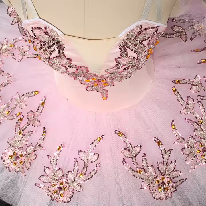 Ballet Recital Costume