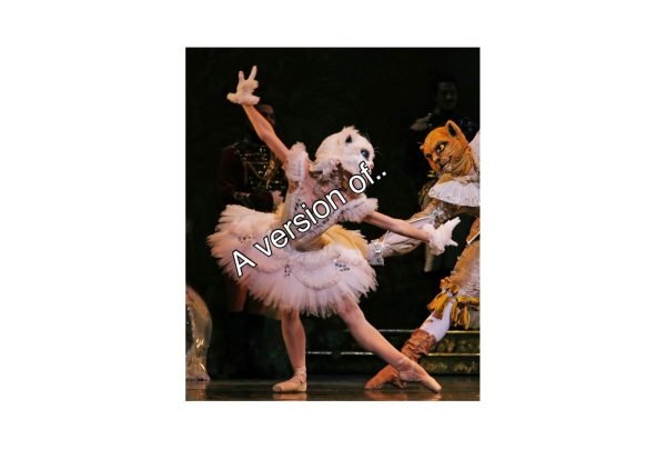 White Cat Ballet Tutu