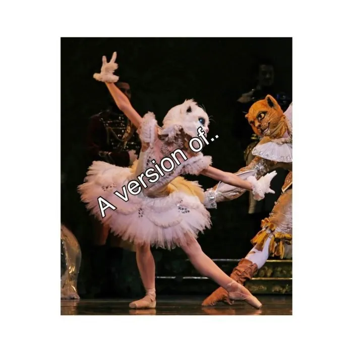White Cat Ballet Tutu
