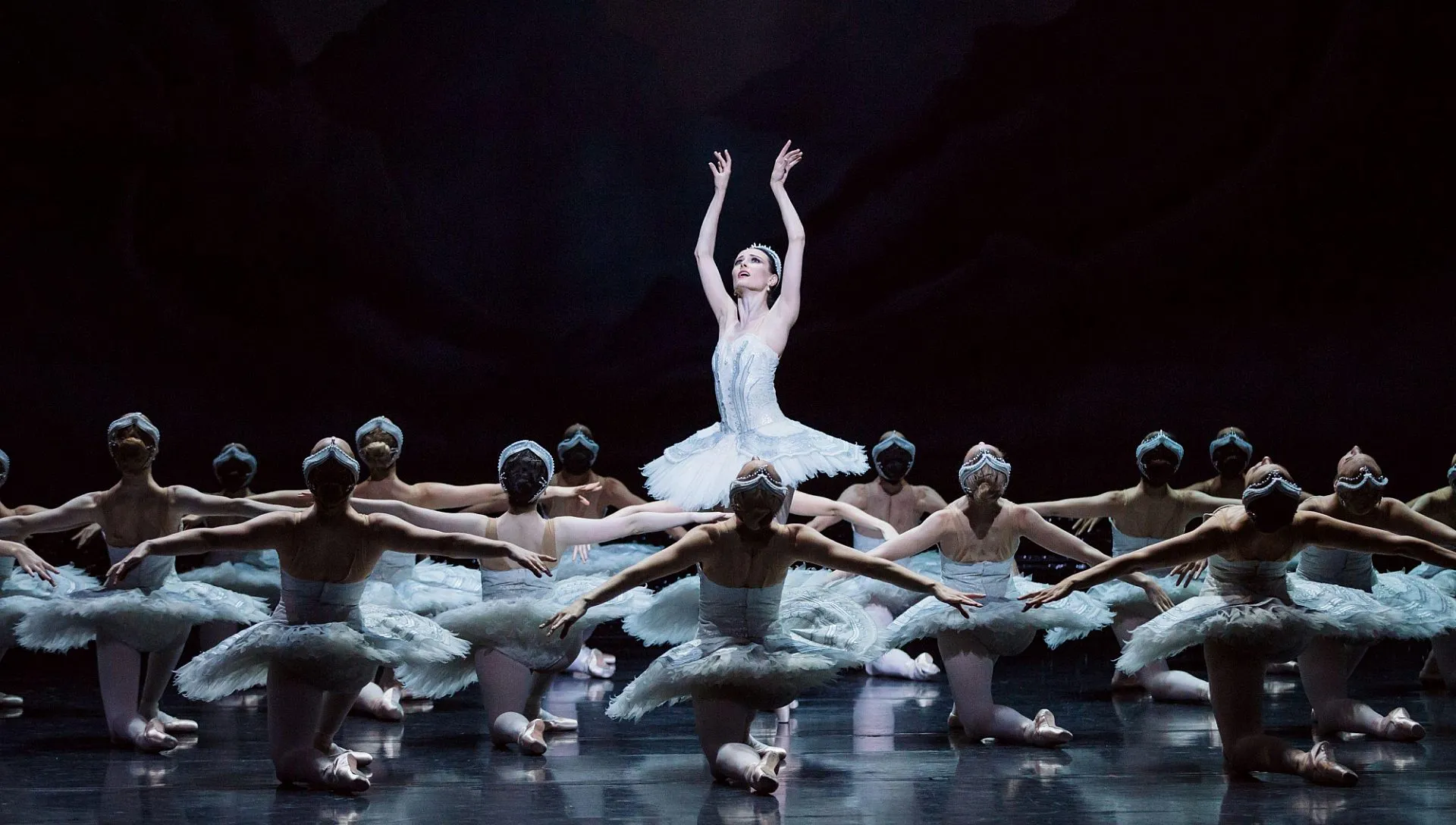Swan lake story